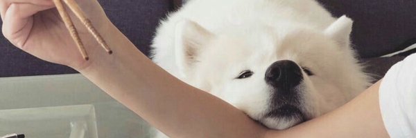 ppickboo Profile Banner