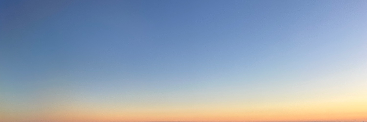 Aleks Bleck banner