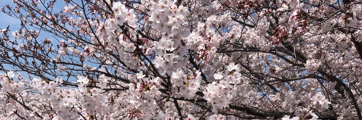 no1104no's profile banner image