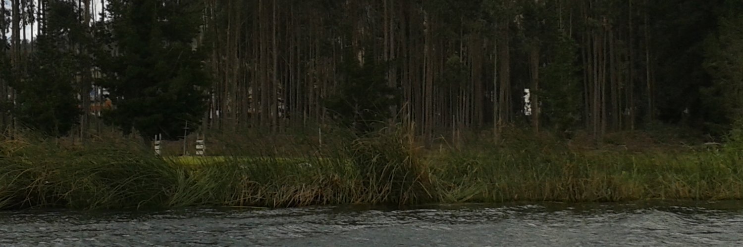 ady_mu's profile banner image