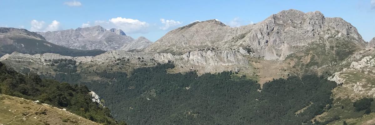 arnaldocia's profile banner image