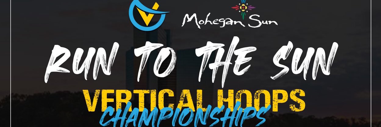 Vertical Hoops banner