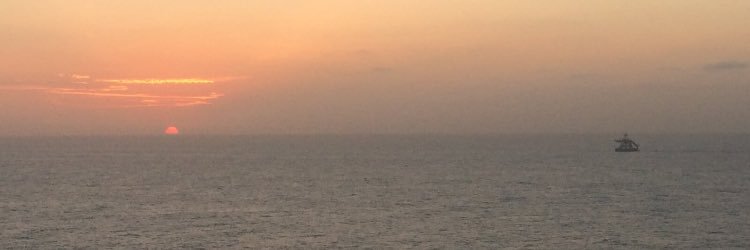 Francisco Rivera banner