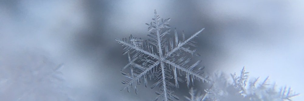 🏊‍♀️🚴‍♀️🐱 🐯뿌리링::뿌리가늘보고싶은 💓💜💙🏳️‍🌈 banner