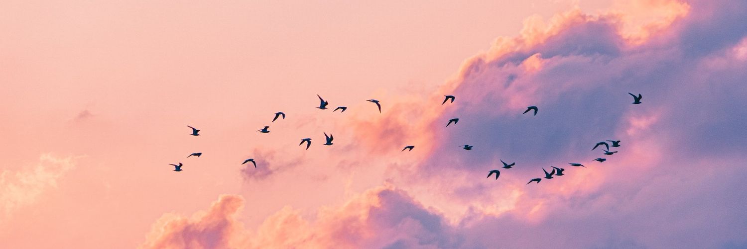 pattykates_'s profile banner image