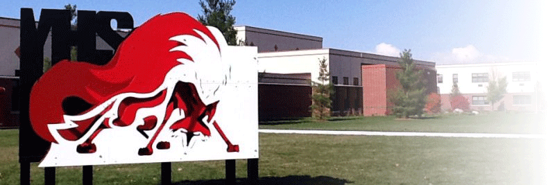 YHS Student Services banner