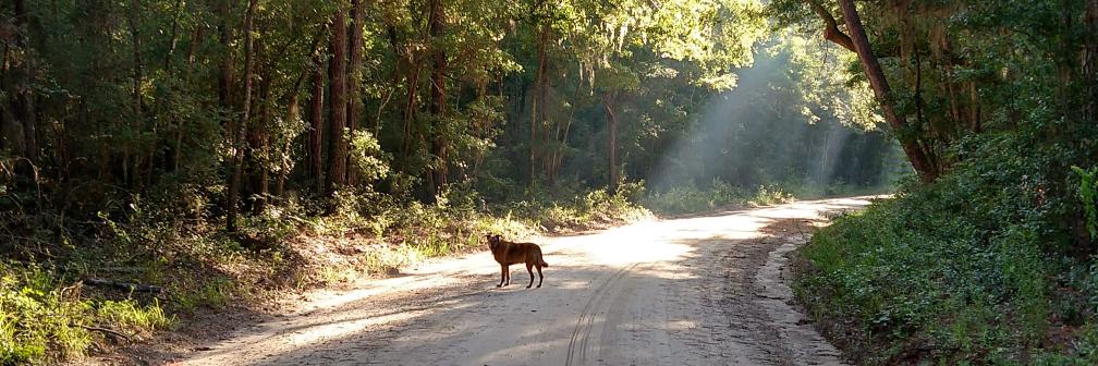 Kevin G. Smith banner