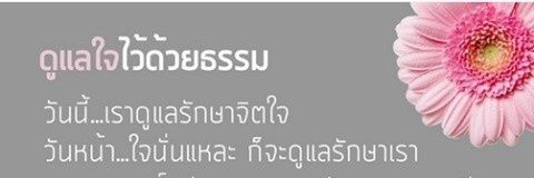 ตกหลุม หลบภัย banner