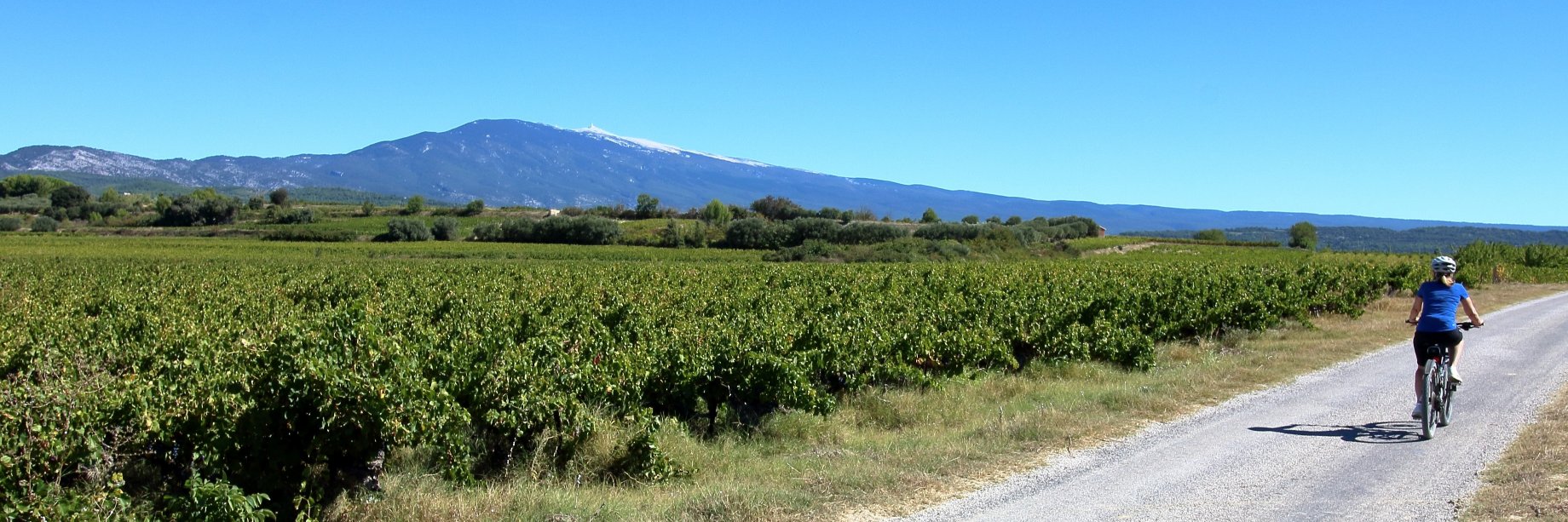 Julie D posting on Bluesky (juliedo.bsky.social) banner