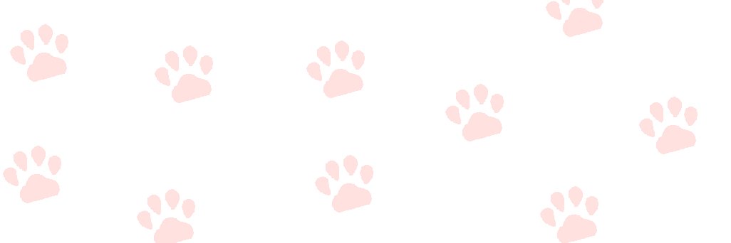 特さん@特さんマンBlog banner