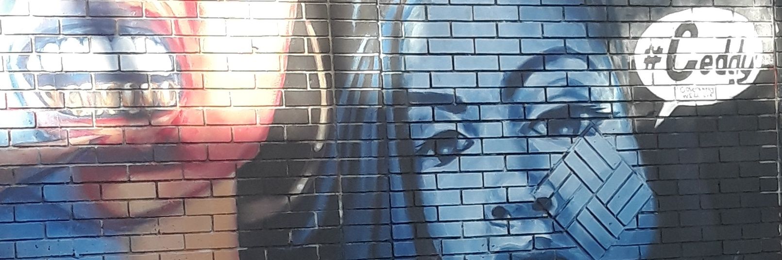 Ceddy the Gawdbutcher banner