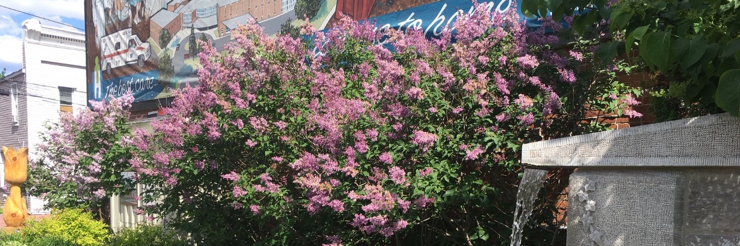 northdundas's profile banner image