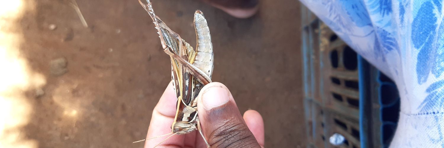 As_Real_As_They_Come banner