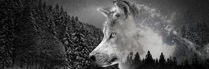 Anaa1608's profile banner image