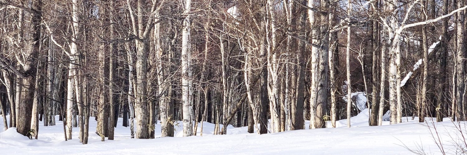sarahtym's profile banner image