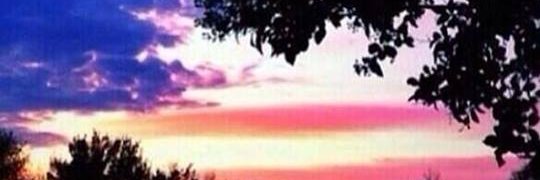 deb_williams56's profile banner image