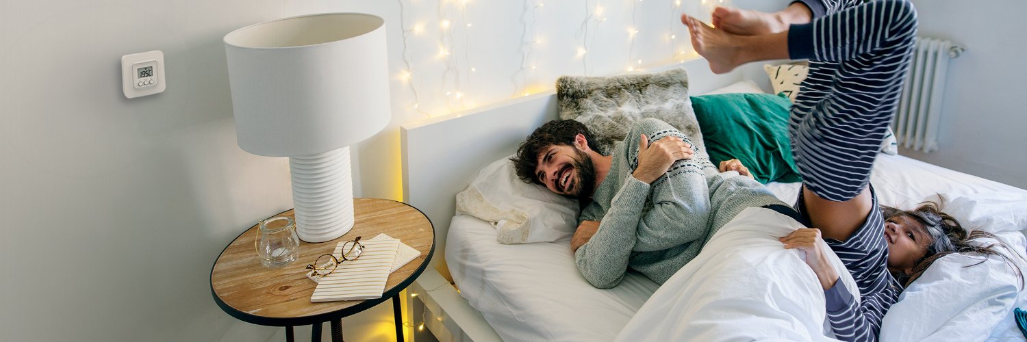 Delta Dore Smart Home UK banner