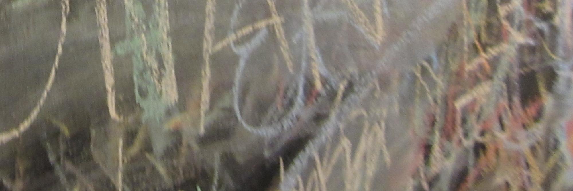 sebbsenezer's profile banner image