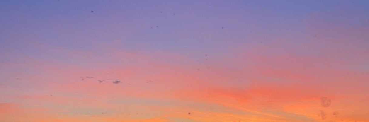 jes_elliott's profile banner image