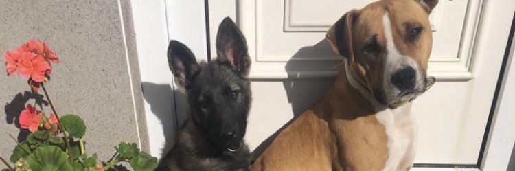 KellyyCrowley's profile banner image