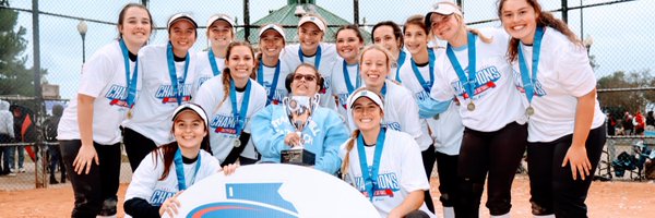 lillibackes Profile Banner