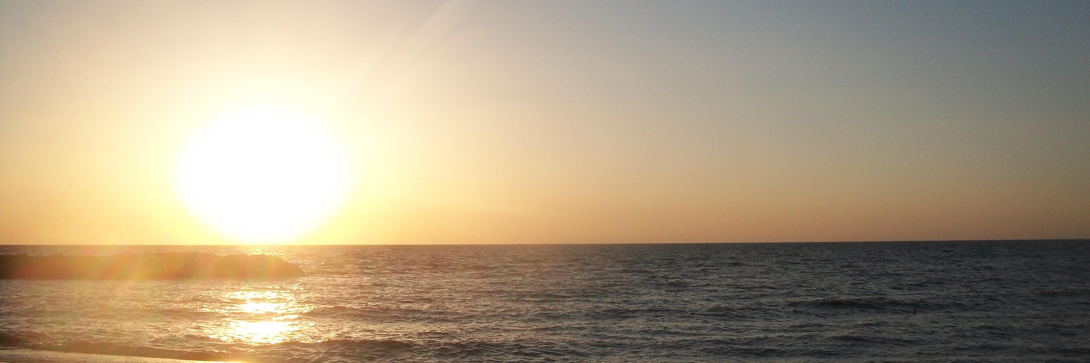 Wheesh's profile banner image