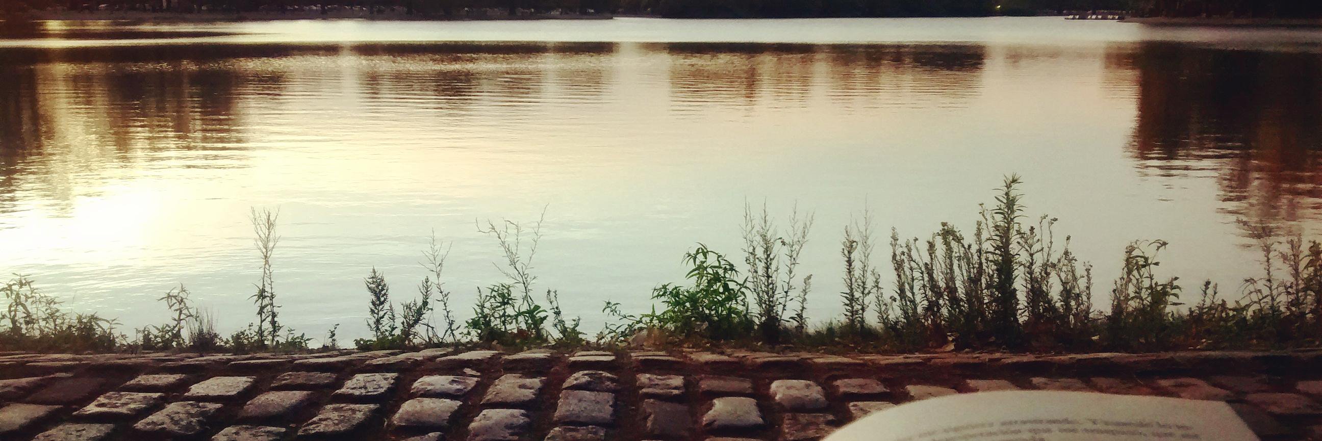 FlorPunal's profile banner image