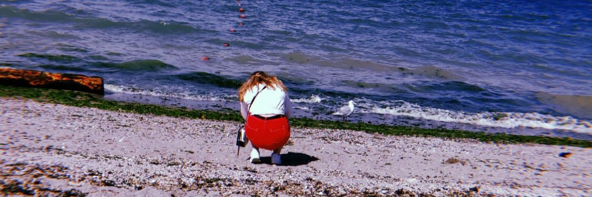 Shauna Dempsey banner