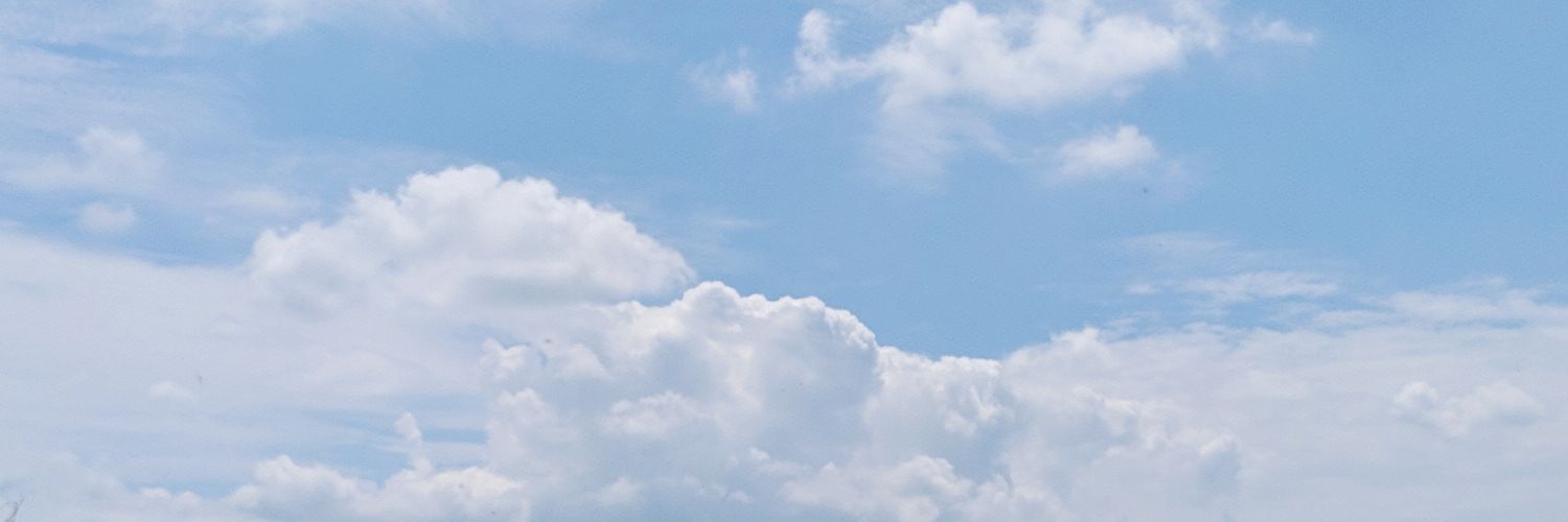 haloninaa's profile banner image