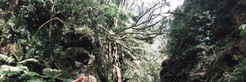 Mcgonagalltmw's profile banner image
