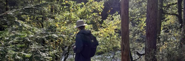 through1hepines Profile Banner