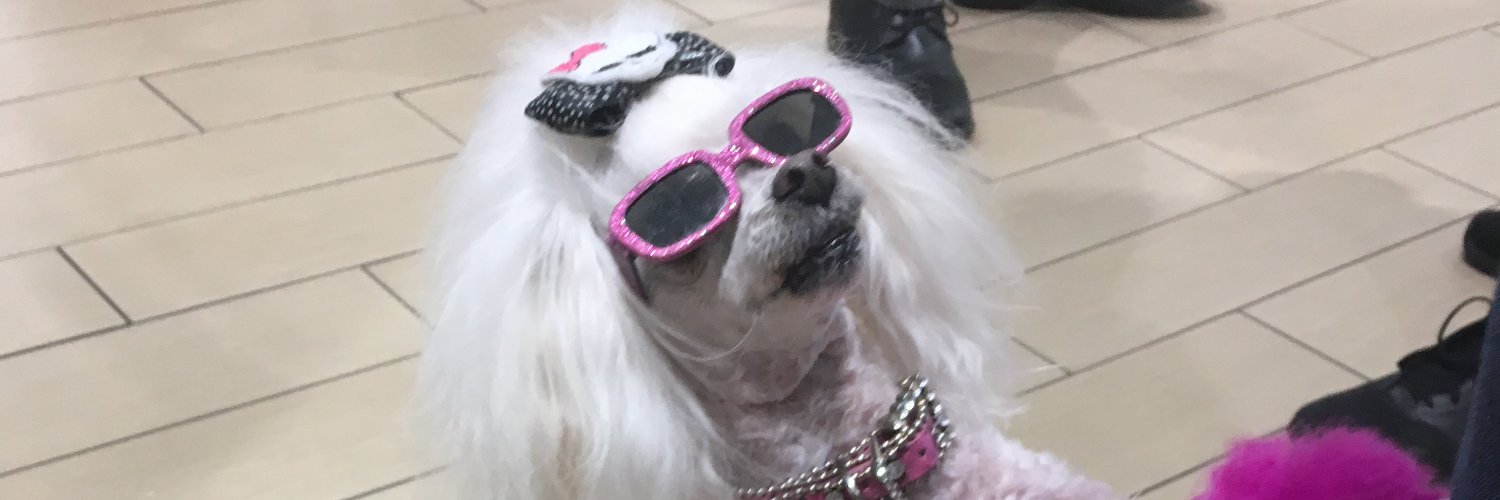 Ben van Diepen banner