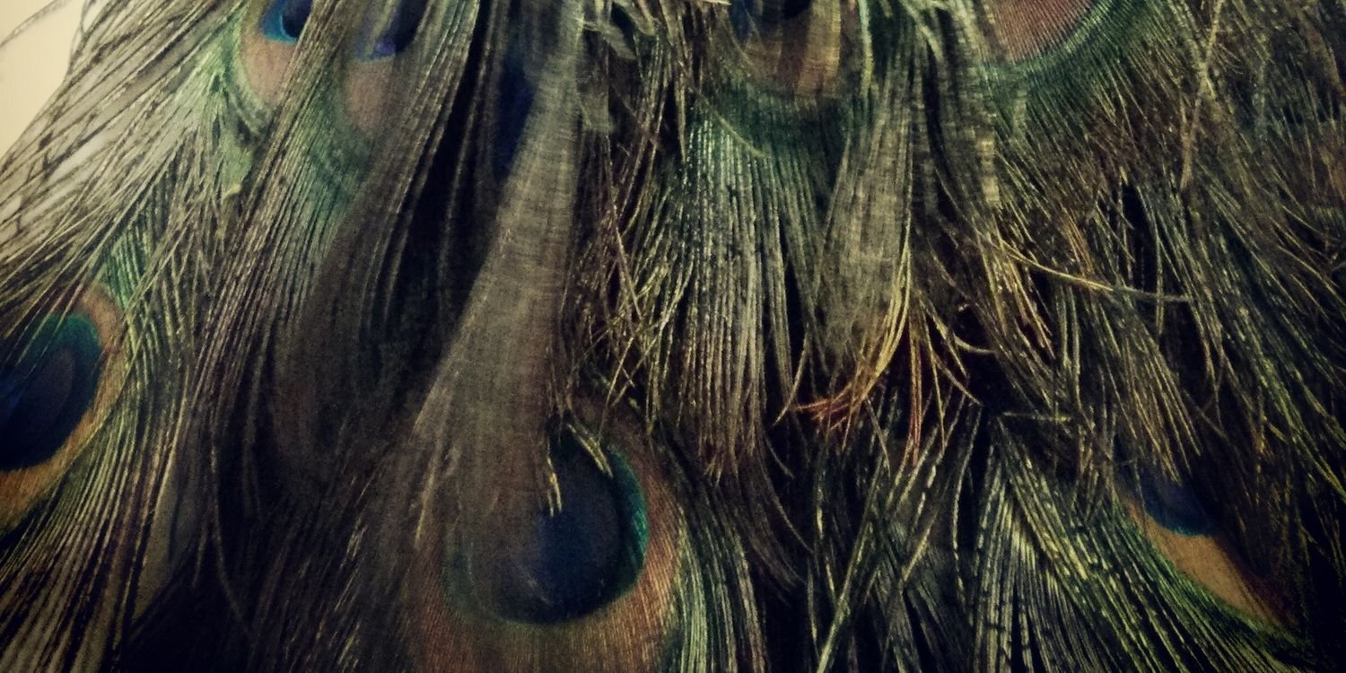 webbrainy's profile banner image