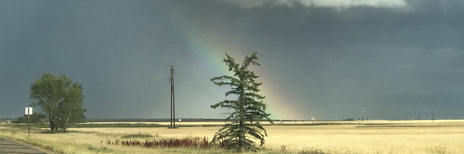 Morgan Tunzelmann banner