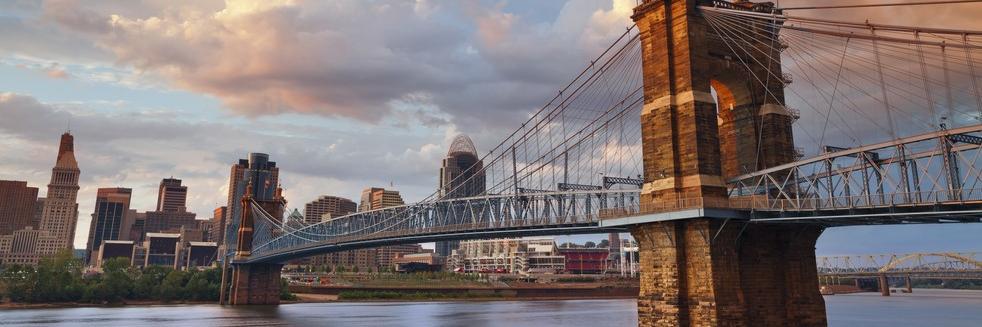 Julie Calvert banner