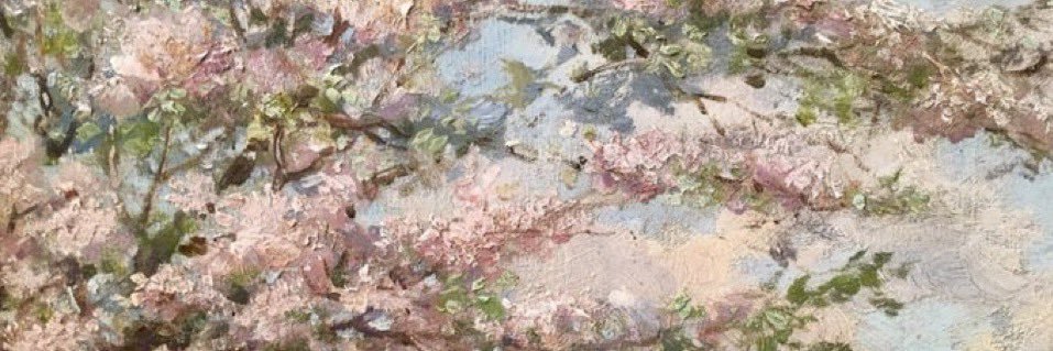 nymphea_nfp's profile banner image