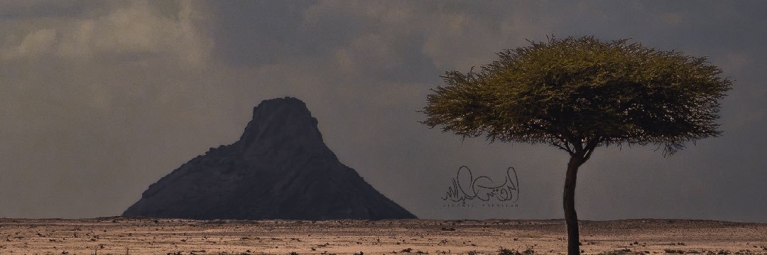 Alrowis_1's profile banner image
