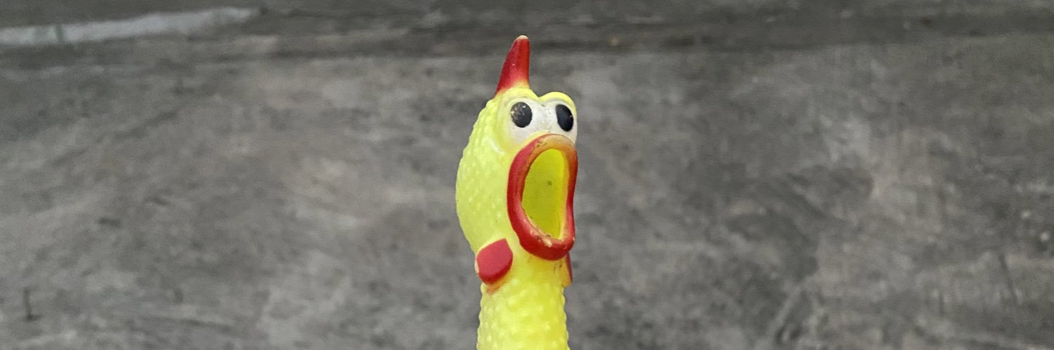 mazmuy's profile banner image