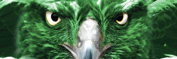 carrolltonhawks Profile Banner