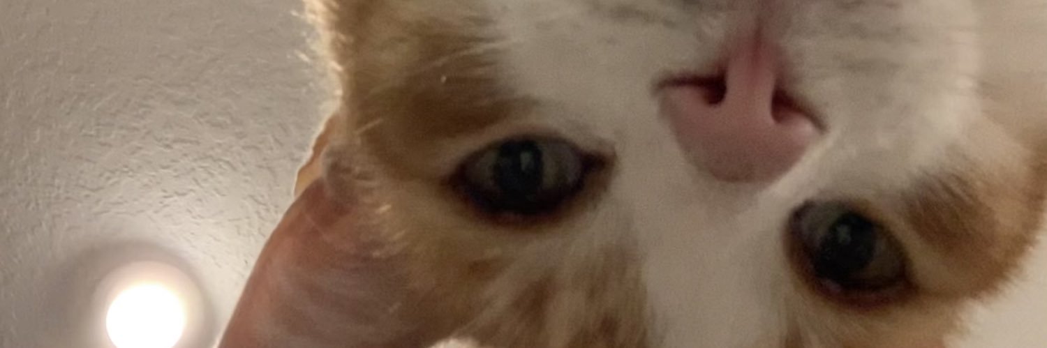 BellaSkeleton3's profile banner image