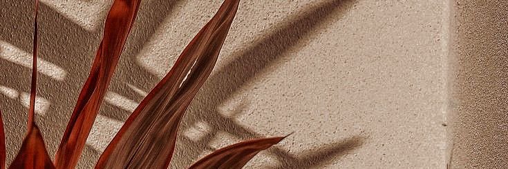 edu_quintero's profile banner image