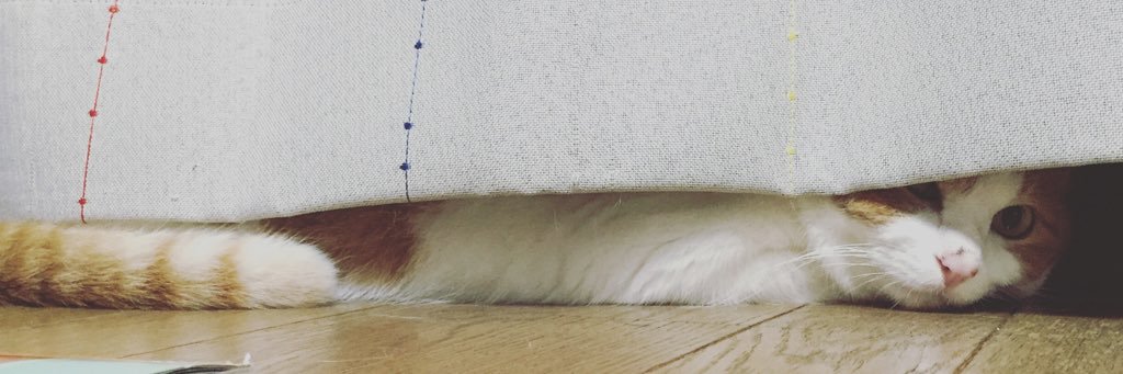 orangemiiko's profile banner image