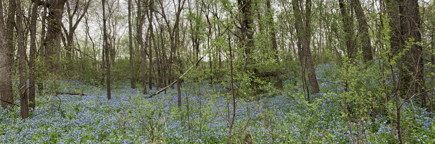 Emily Levy MD FAAP banner