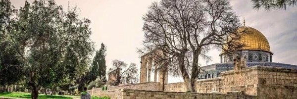 PsycFatma's profile banner image