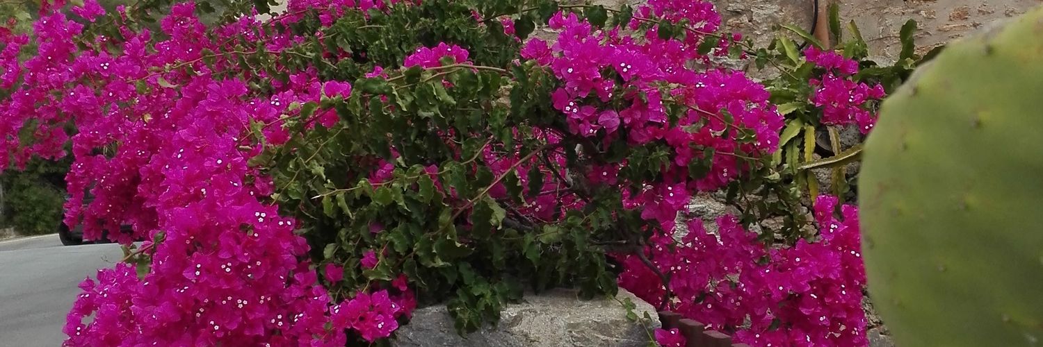 Dery9a's profile banner image