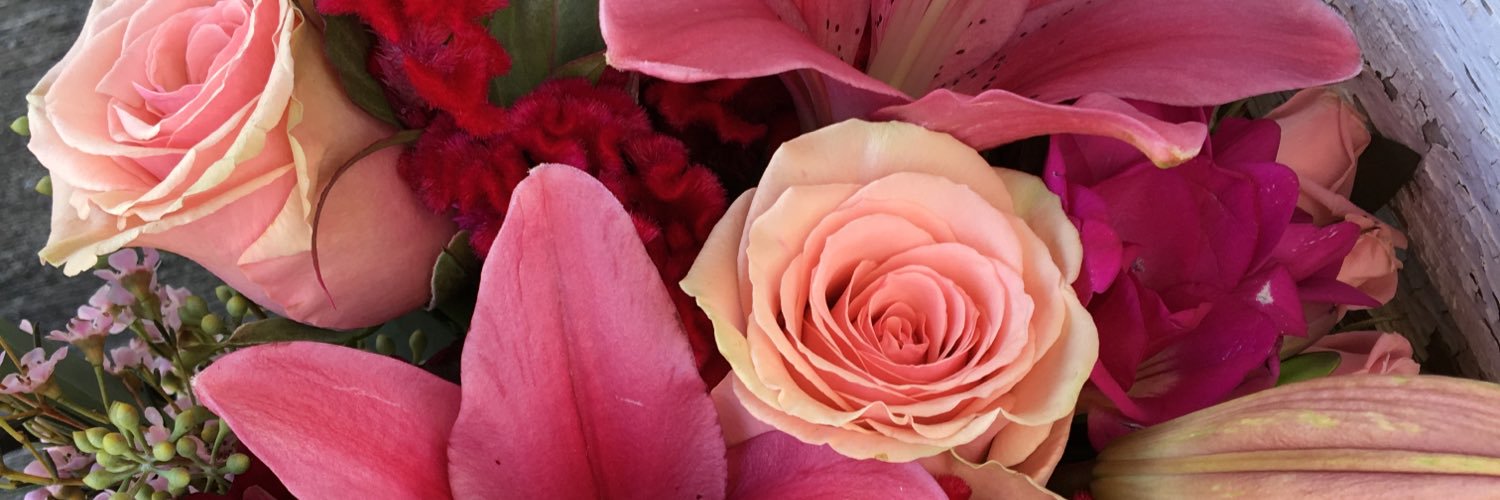 tmay2213's profile banner image