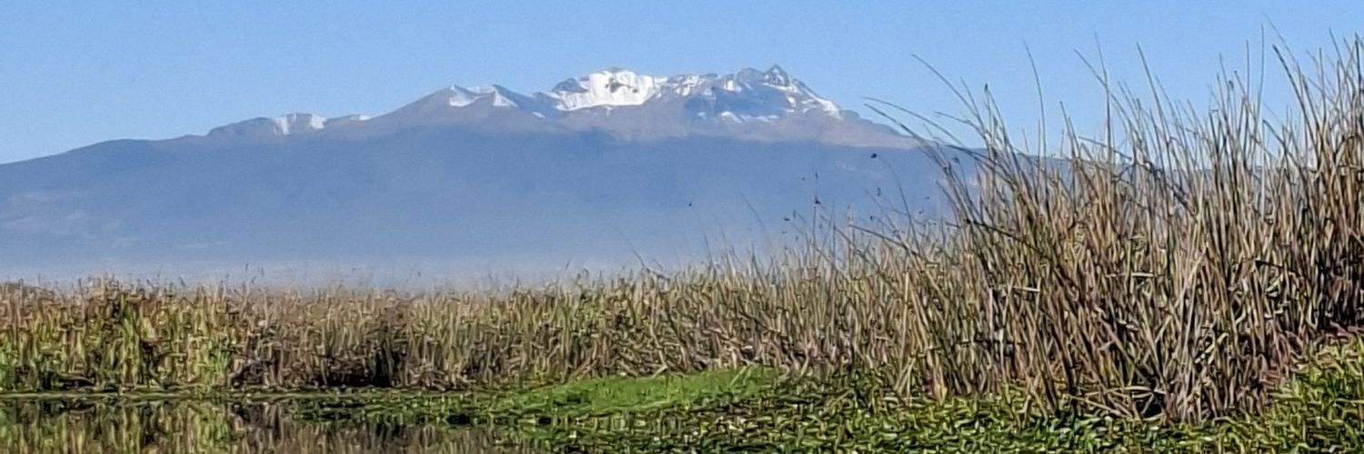 moroxacherry's profile banner image