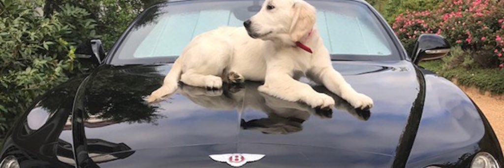 KaufmannJustin's profile banner image