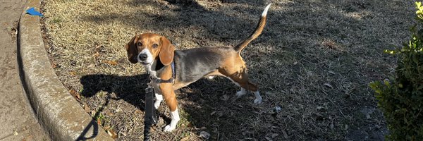 PubMEG Profile Banner