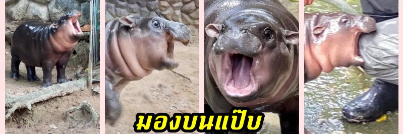 มองบนแป๊บ🙄 แคปชั่น•คำคม banner